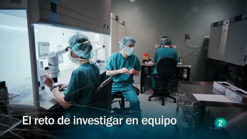 Redes - El reto de investigar en equipo (V.O.) - Ver ahora 