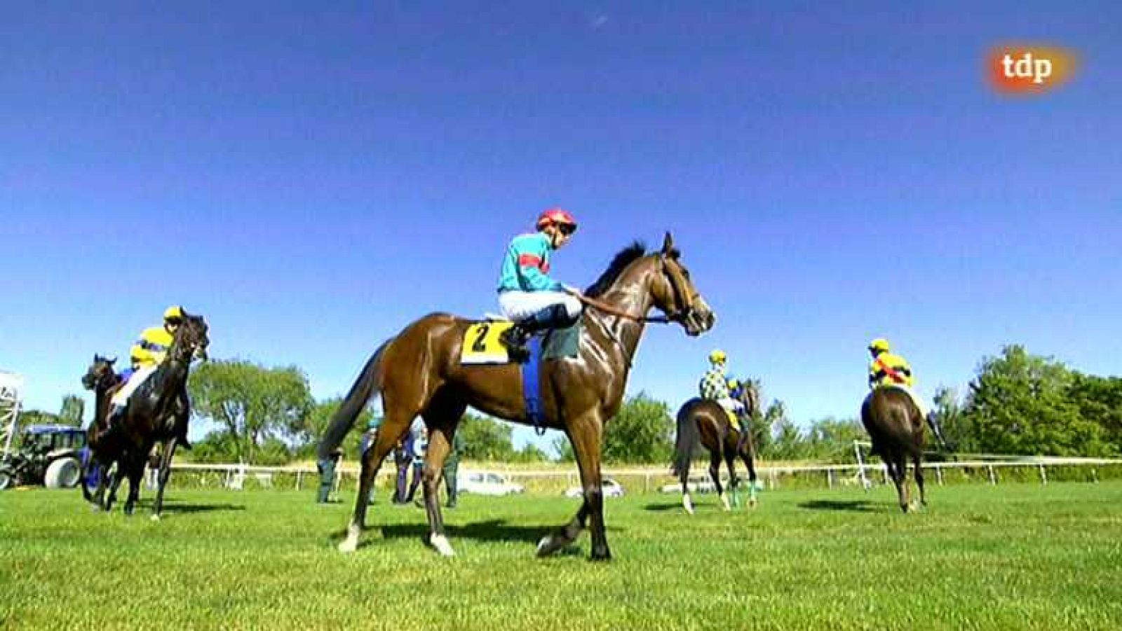 Turf - 02/06/13 - Ver ahora