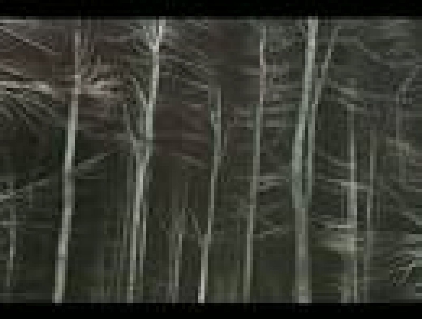 La Comunidad de Murcia en 2'.(03/06/2013)