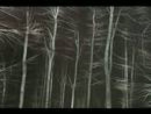 Noticias Murcia - La Comunidad de Murcia en 2'.(03/06/2013)