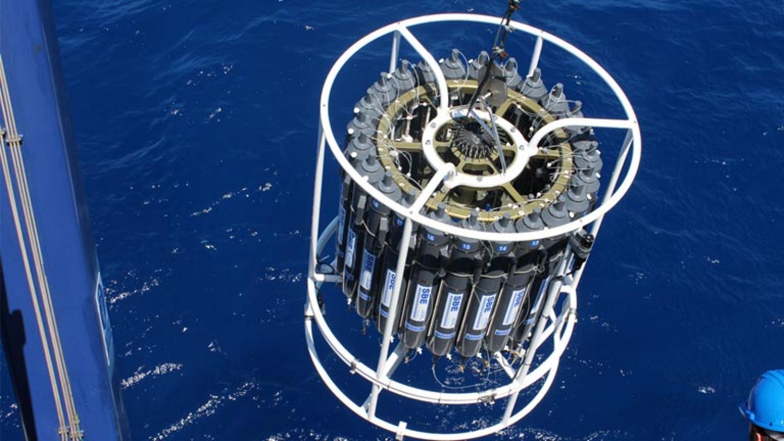 Operaciones de muestreo y de medusas de MedSea