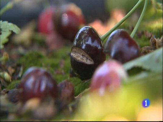 Noticias Aragón - Noticias Aragón 2 - 05/06/13