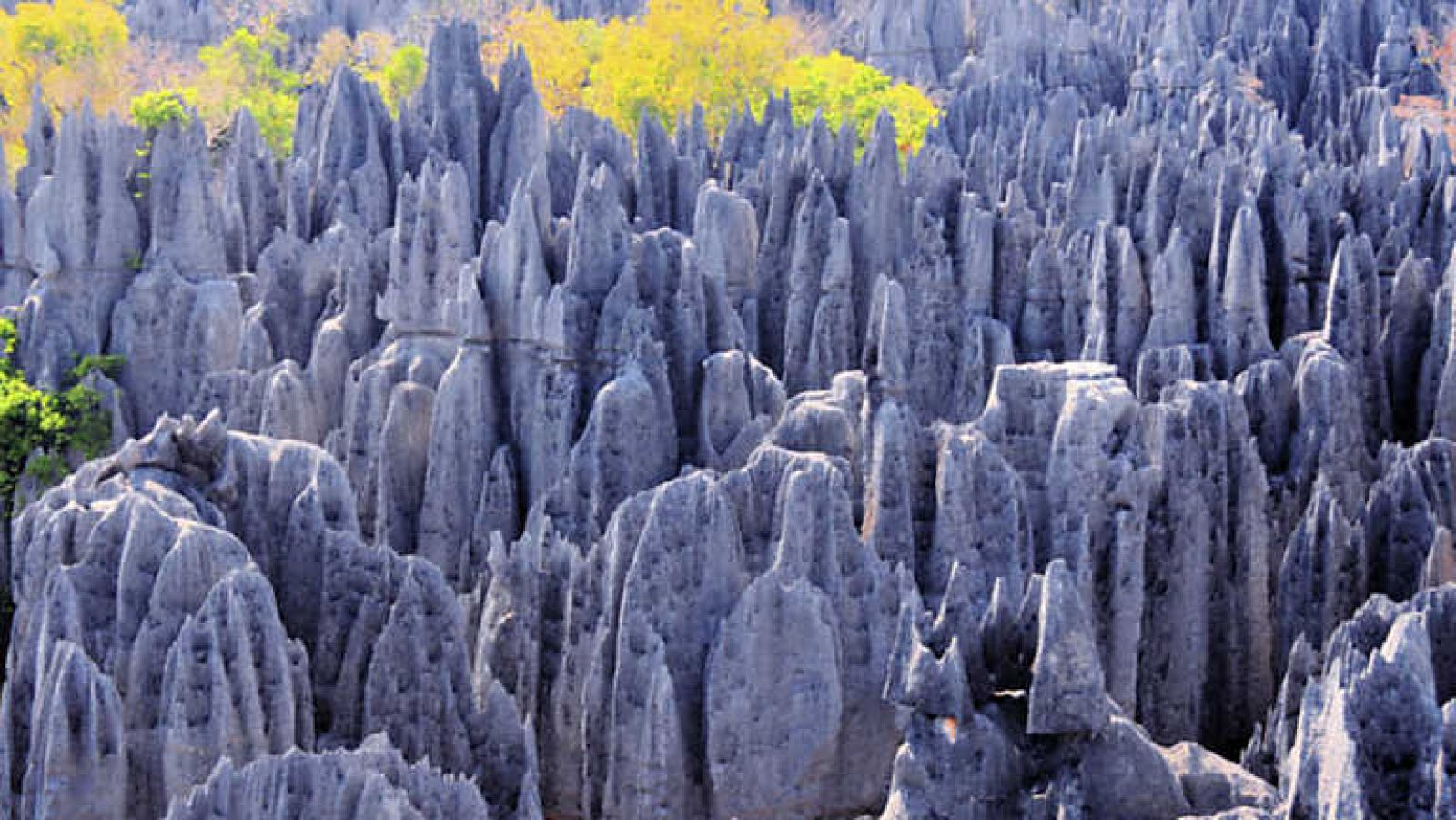 Docufilia - Makay, descubriendo el último Edén - Ver ahora