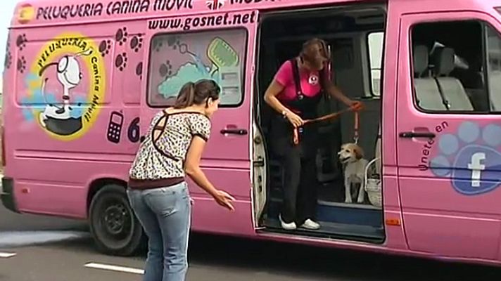 Telediario 1 - Trabajo a domicilio