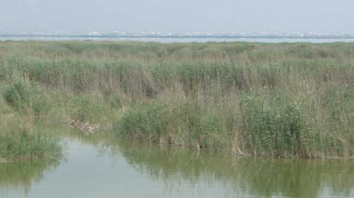El tiempo - Temperaturas en ligero o moderado ascenso en gran parte de la península