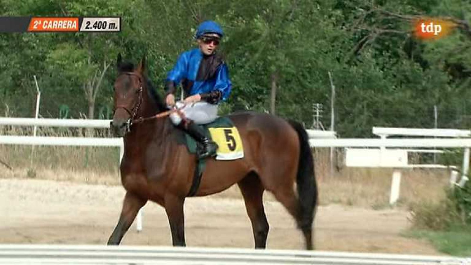 Turf - 09/06/13 - Ver ahora