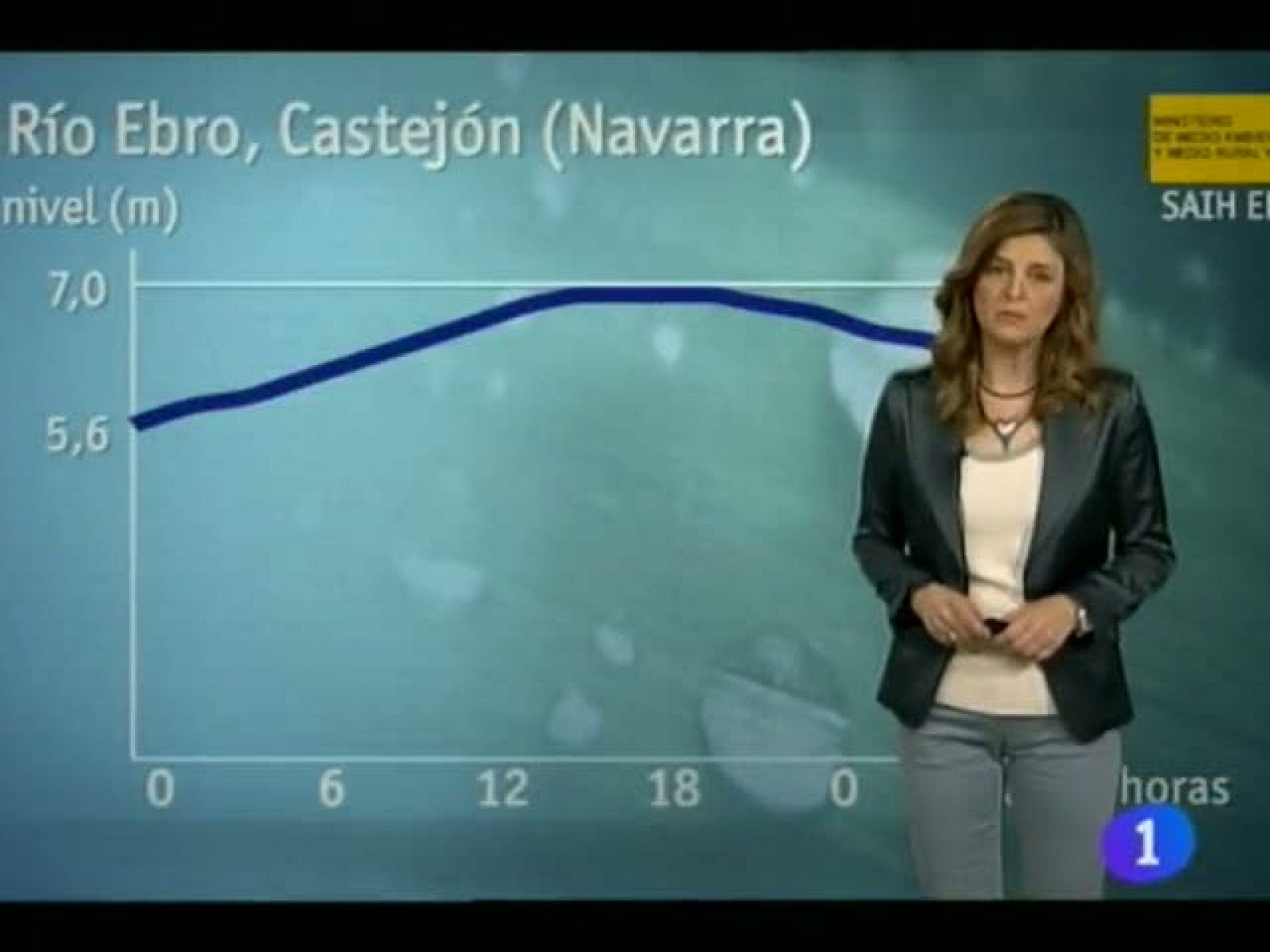 Telenavarra: El Tiempo en la Comunidad de Navarra - 11/06/13 | RTVE Play