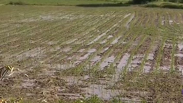 Telediario 1 - Crecida del Ebro