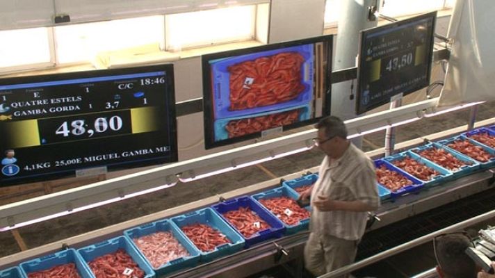 Comando Actualidad - Subasta de pescado