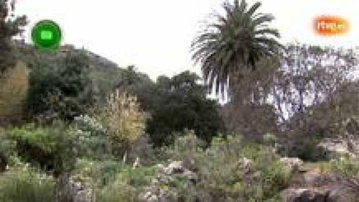 Agrosfera - Agüimes