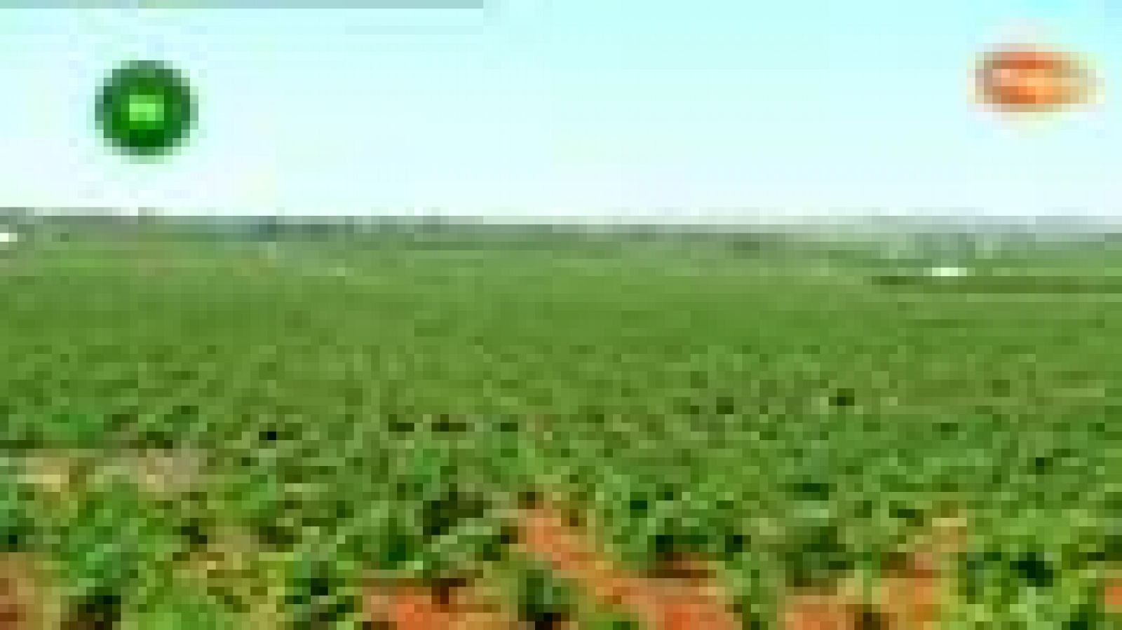 Agrosfera - En clave rural - El Toboso