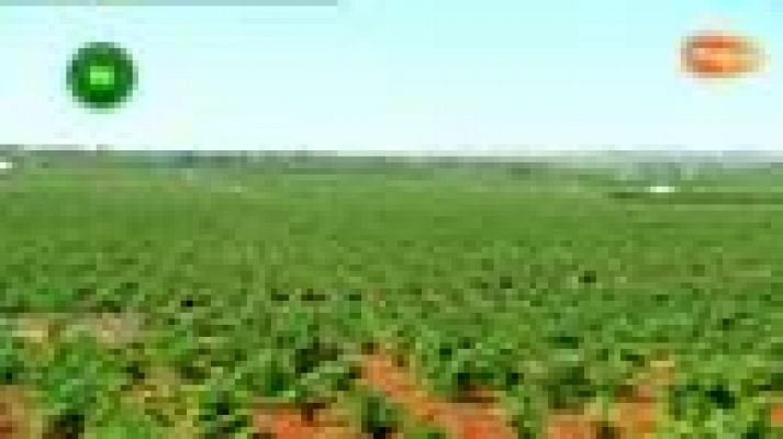 Agrosfera - El Toboso