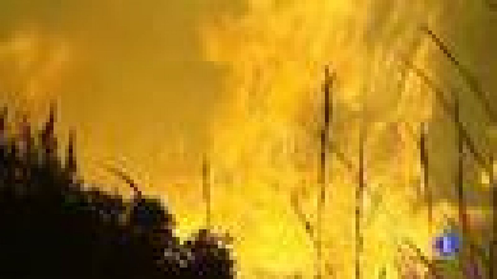 En marcha las campañas de prevención y extinción de incendios | Ver