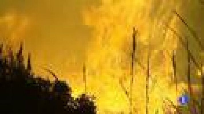 Telediario 1 - En marcha las campañas de prevención y extinción de incendios
