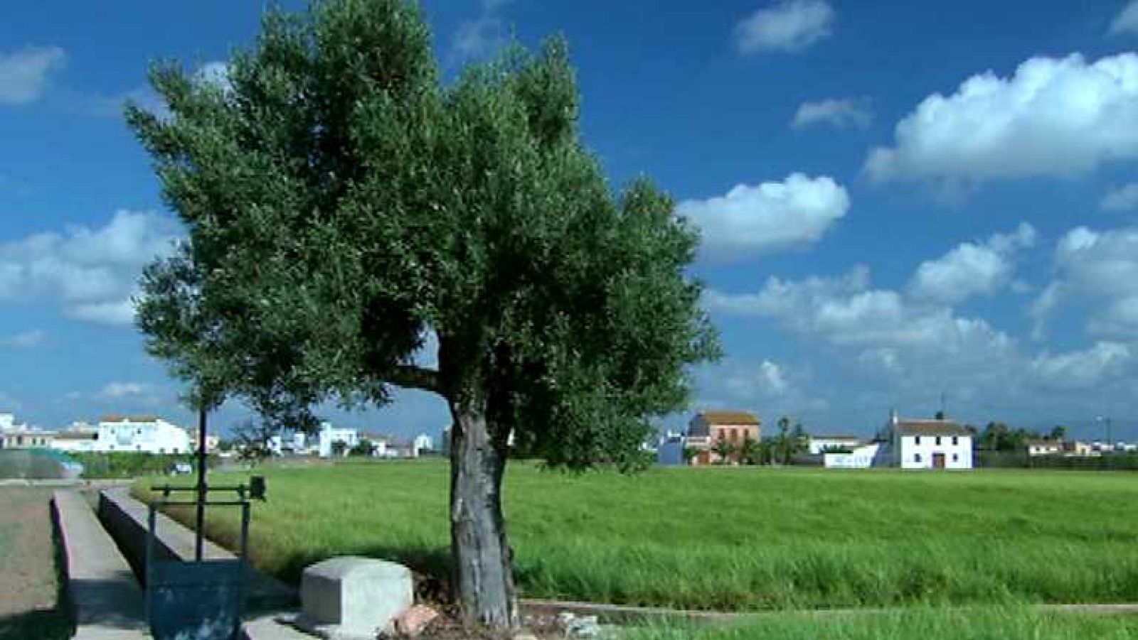La huerta a la vuelta de la esquina - Ver ahora