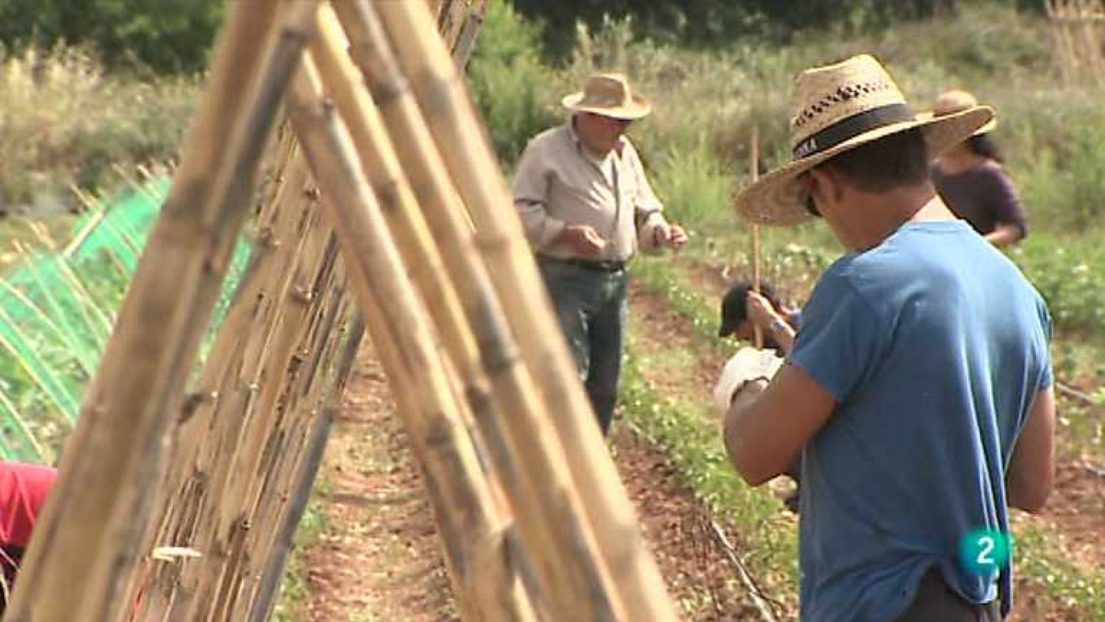 Agrosfera - 15/06/13  - Ver ahora