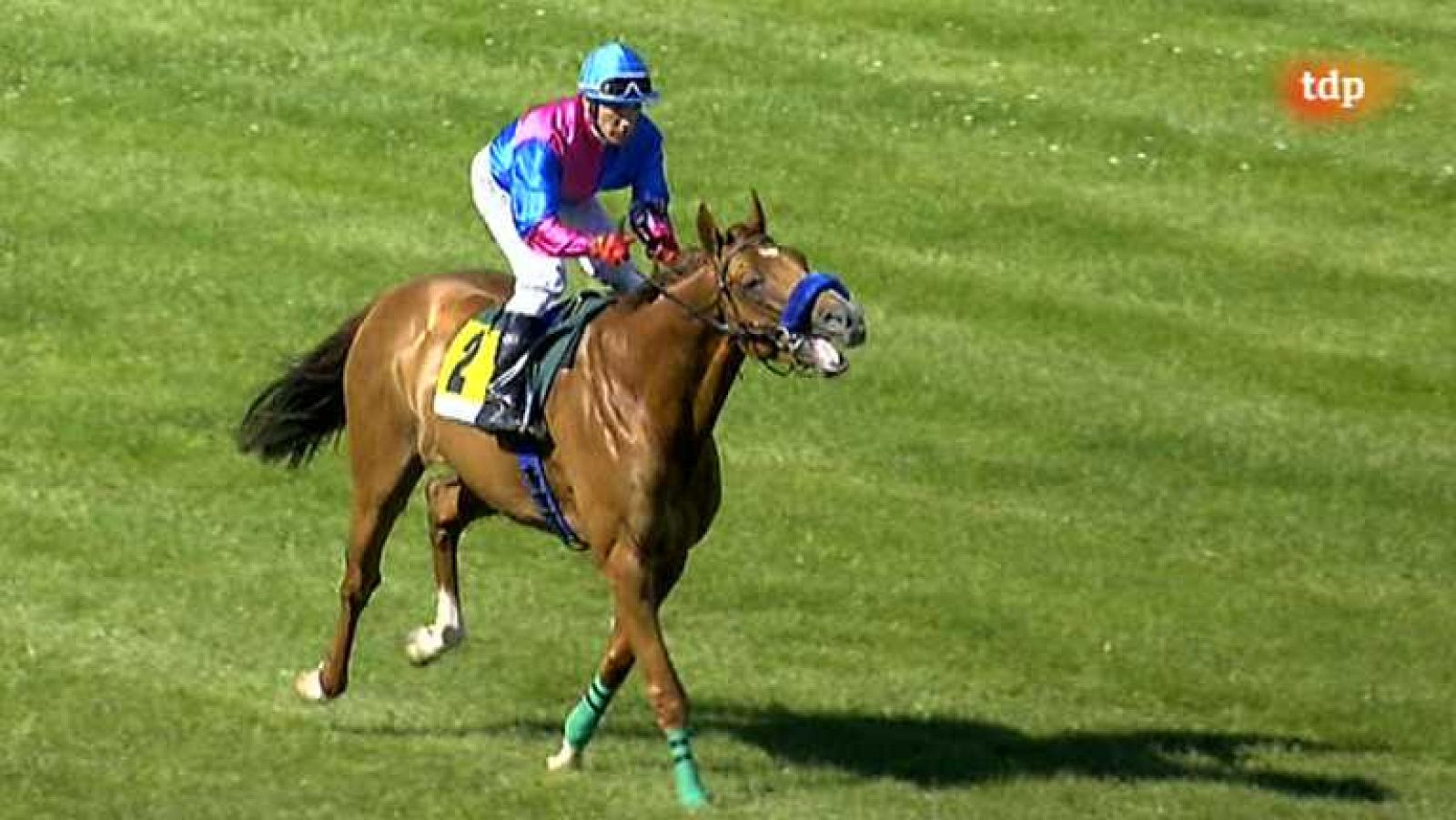 Turf - 16/06/13 - Ver ahora