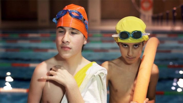 Redes - ¿Todos los animales tienen cerebro?