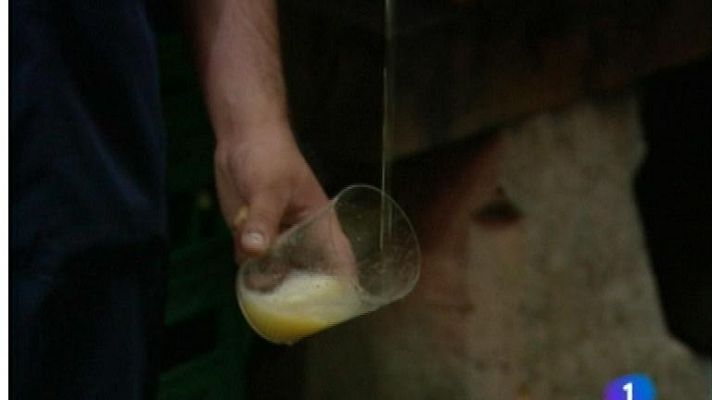 Panorama Regional - Panorama Regional 2 - 18/06/13