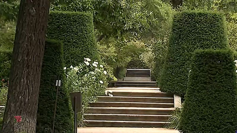 'Las plantas en El Quijote', en el Jardín Botánico de Madrid