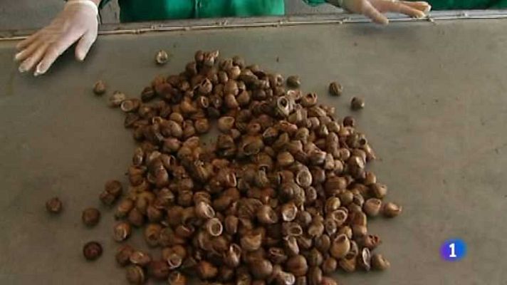 Repor - Un negocio muy animal