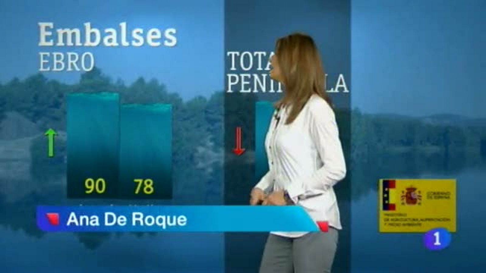 Telenavarra: El Tiempo en la Comunidad de Navarra - 19/06/2013 | RTVE Play