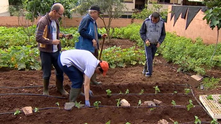 +Canarias - + Canarias - 19/06/13