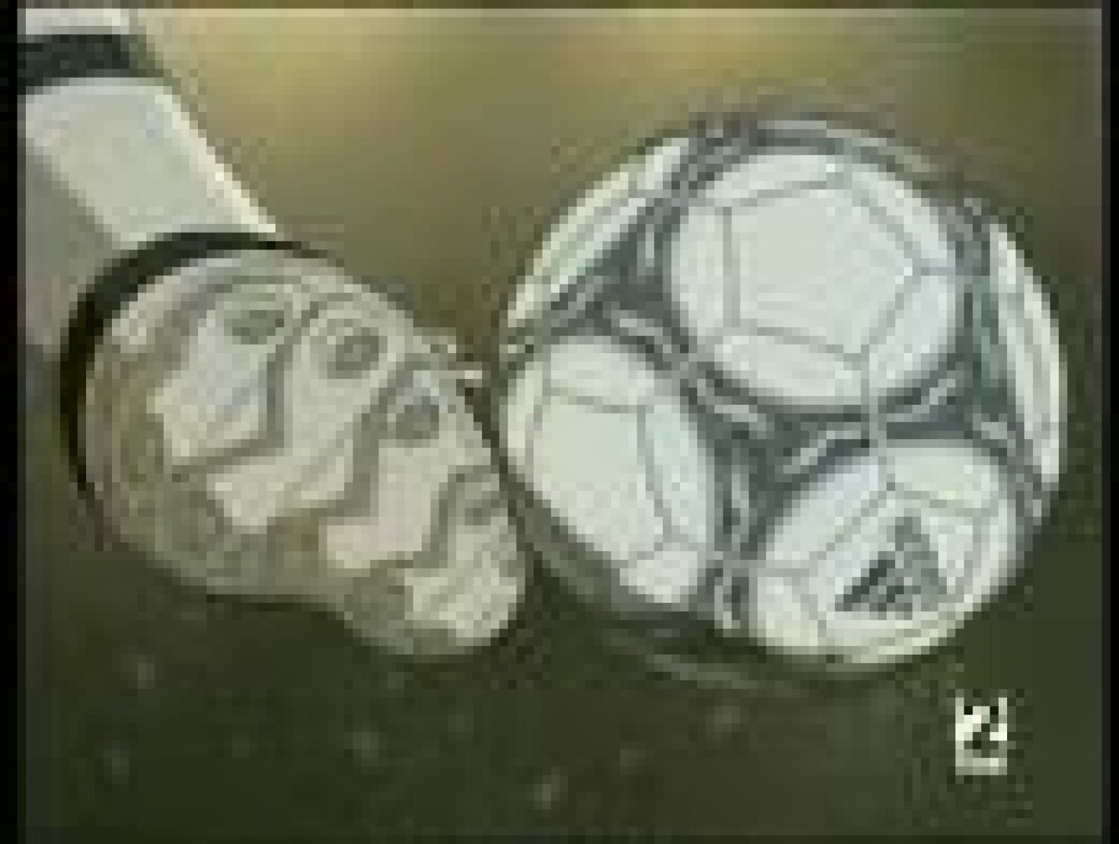 Cap29. Campeones hacia el Mundial: Oliver y Benji 