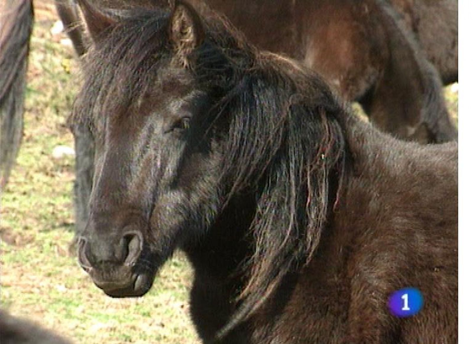 Asturias en 2' - 20/06/13 | Ver