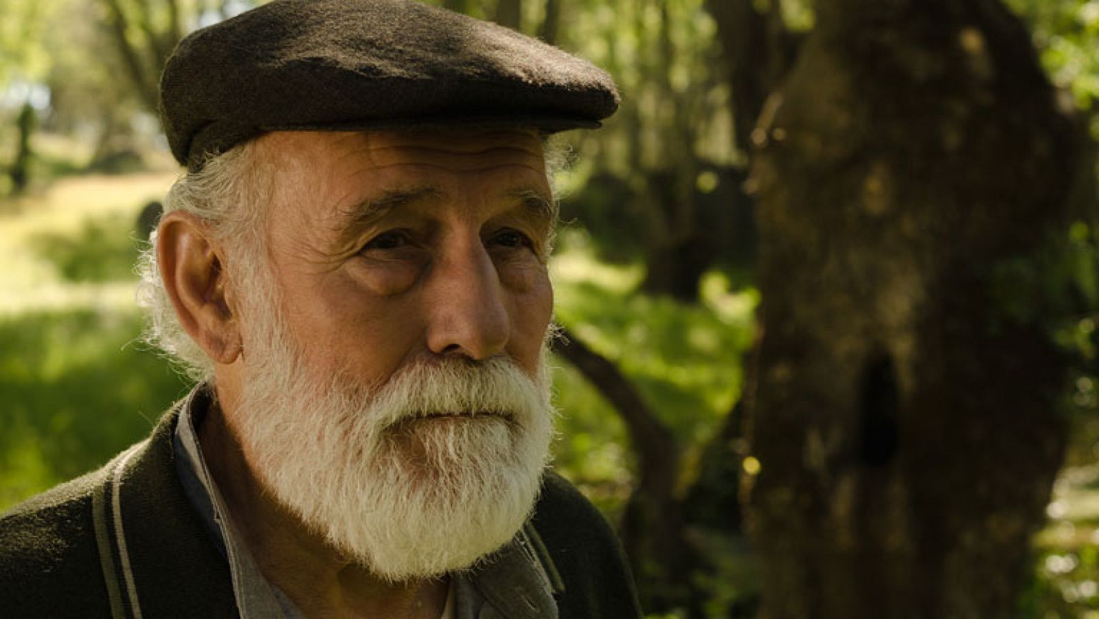 La última voluntad de Ricardo Reverte (Capítulo 30)