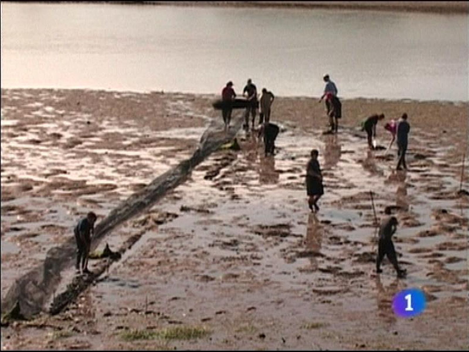 Panorama Regional: Asturias en 2' - 24/06/13 | RTVE Play