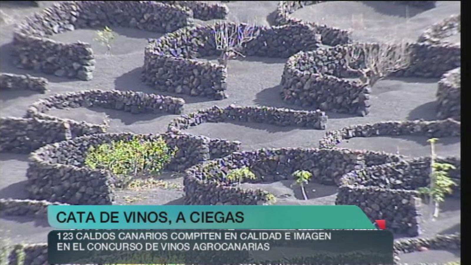 + Canarias - 25/06/13 - +Canarias | Ver