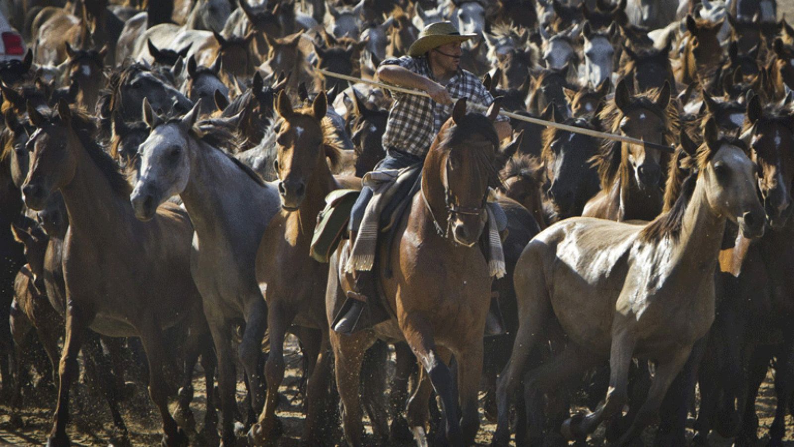 Telediario 1: Tradición de la "saca de yeguas" | RTVE Play