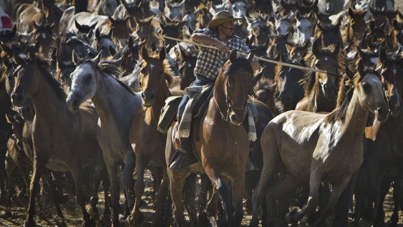 Los ganaderos de Almonte llevan a cabo la tradicional "saca de yeguas"