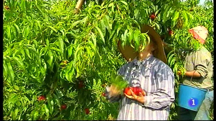 Noticias Aragón - Noticias Aragón 2 - 27/06/13