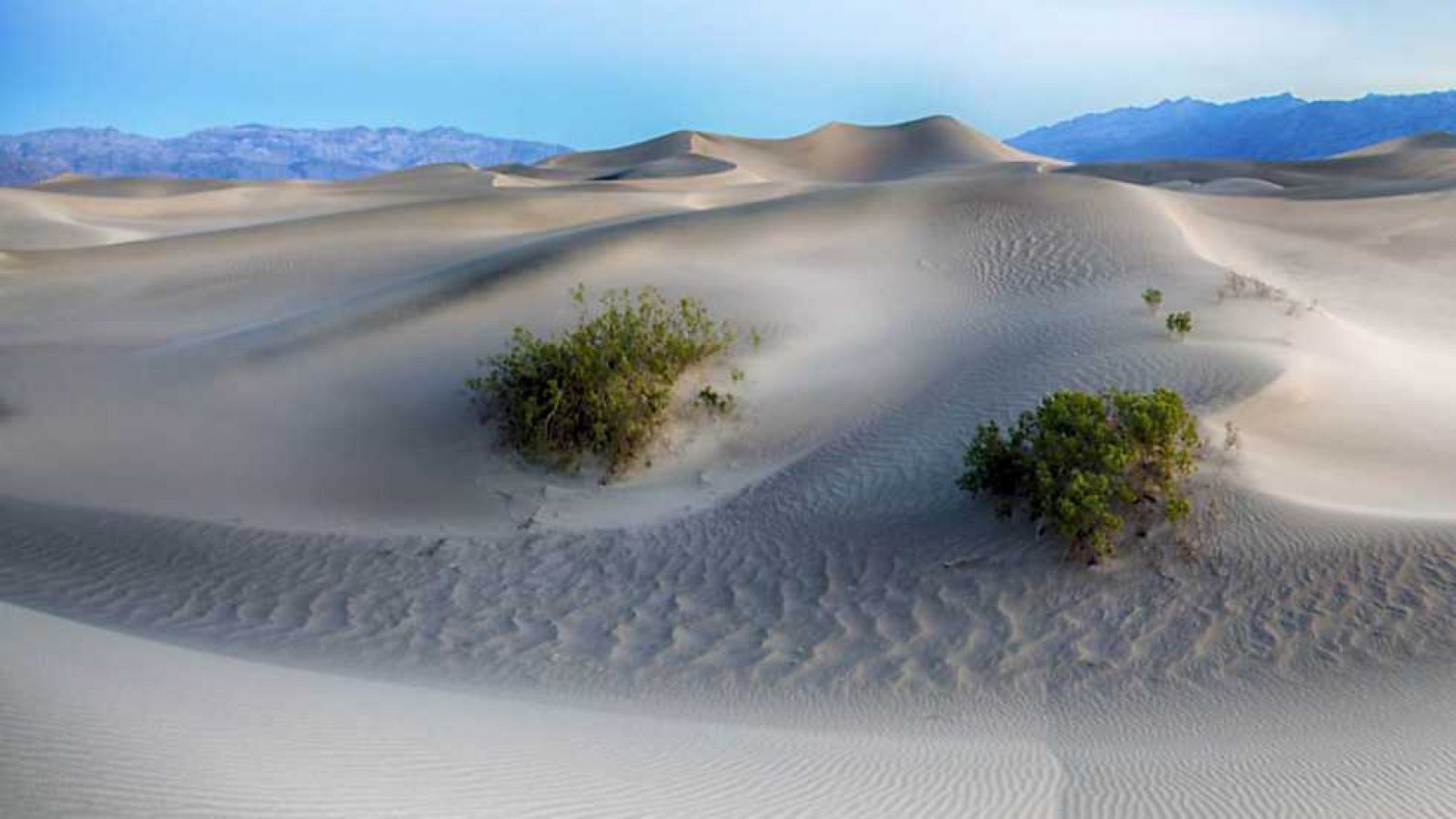 Grandes documentales - Los colores del desierto. El Mojave gris