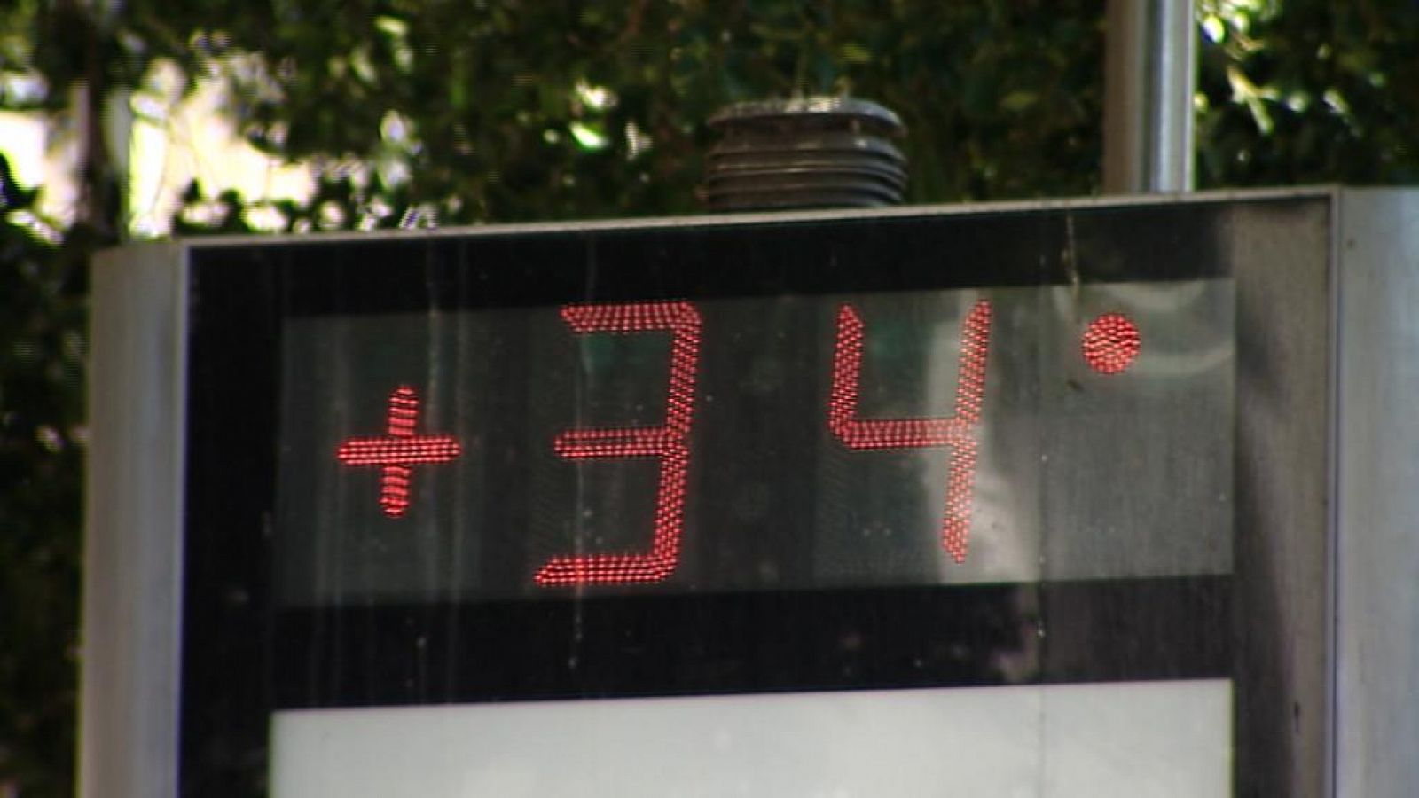 Telecanarias - 29/06/13 | Ver