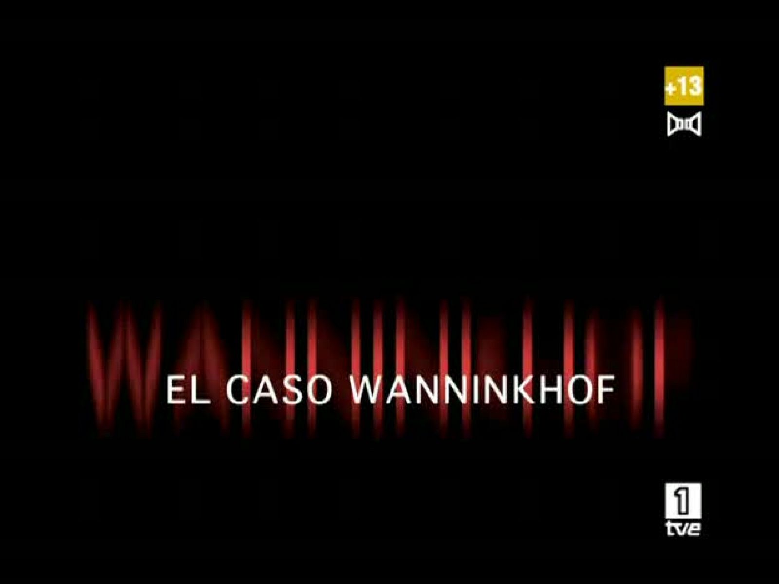 El caso Wanninkhof - Resumen - El caso Wanninkhof | Ver