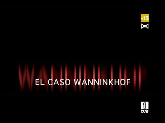 El caso Wanninkhof - Resumen