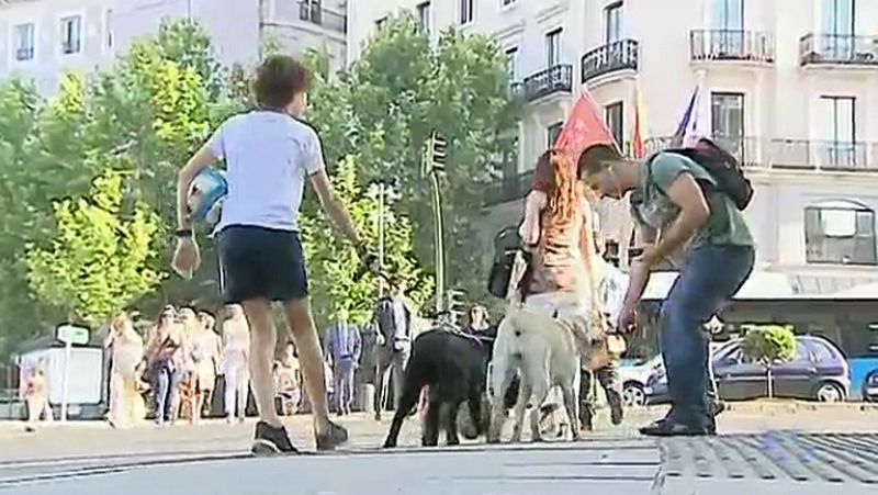  Google maps ofrecerá la posibilidad de explorar las ciudades por sus sonidos