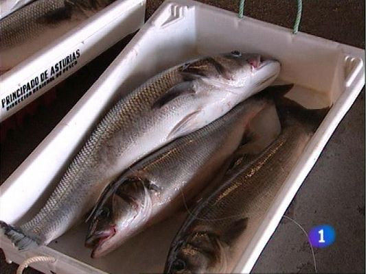 Panorama Regional - Panorama Regional 2 - 04/07/13