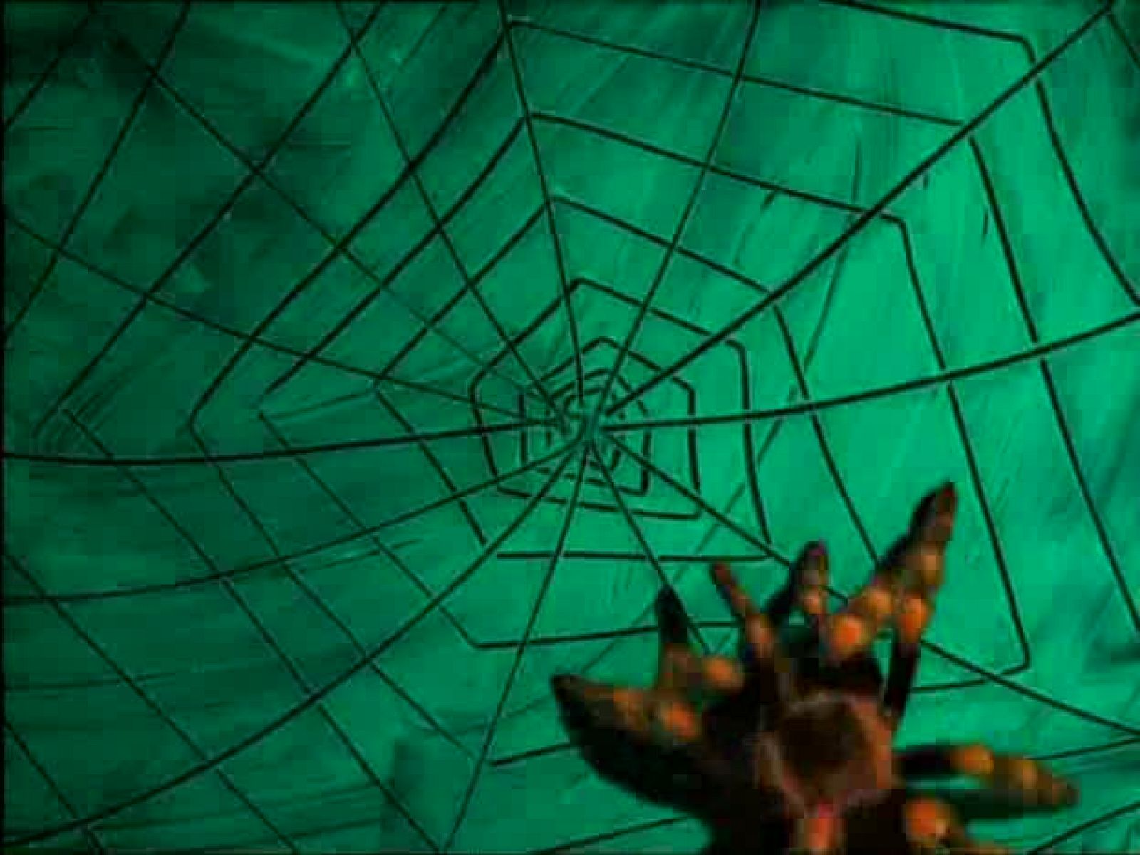 Leonart - El taller de Donna Lisa - Leonart | Ver