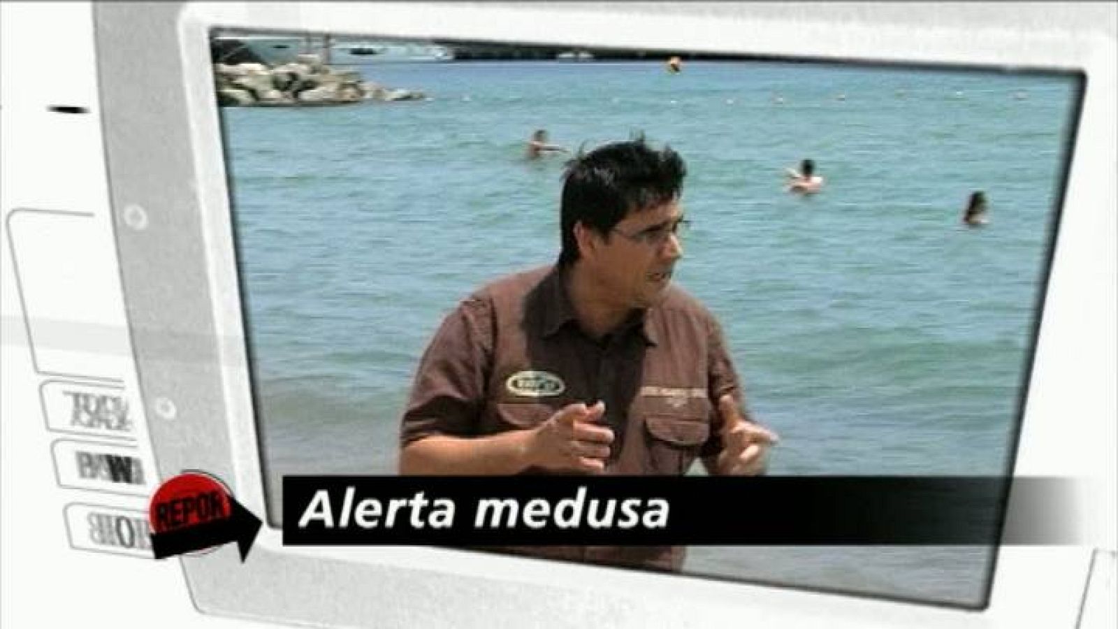 Repor - Alerta medusas - Avance