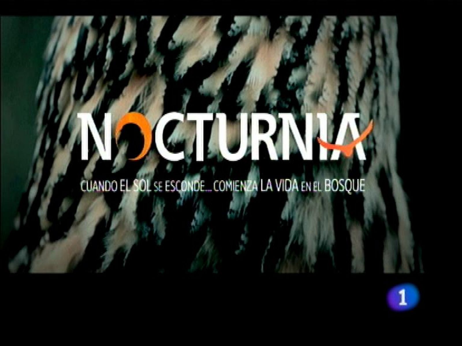 Asturias en 2' - 05/07/13 | Ver