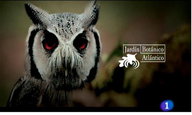 Panorama Regional - Panorama Regional 2 - 05/07/13