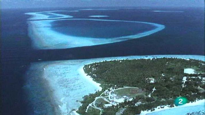 El arrecife de coral - El hombre y el arrecife de coral