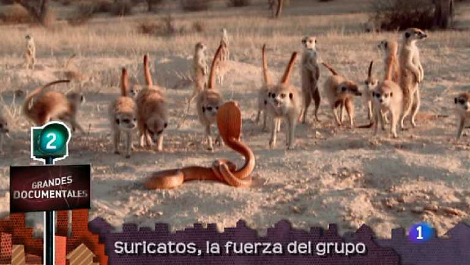 Lo que hay que ver - 07/07/13 - Ver ahora