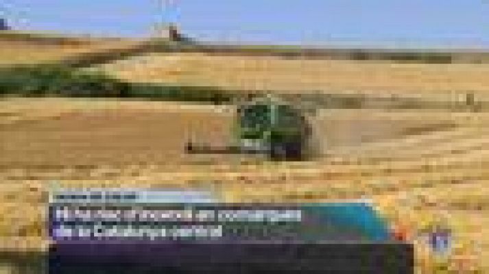 L'Informatiu - L'Informatiu Cap de Setmana - 07/07/2013