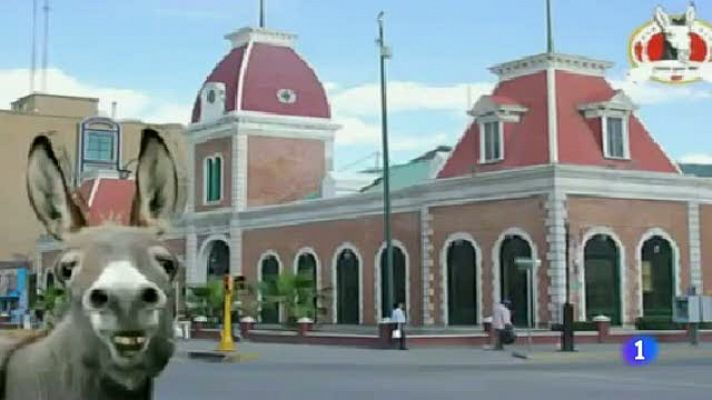 Telediario 1 - Animales 'candidatos' en México