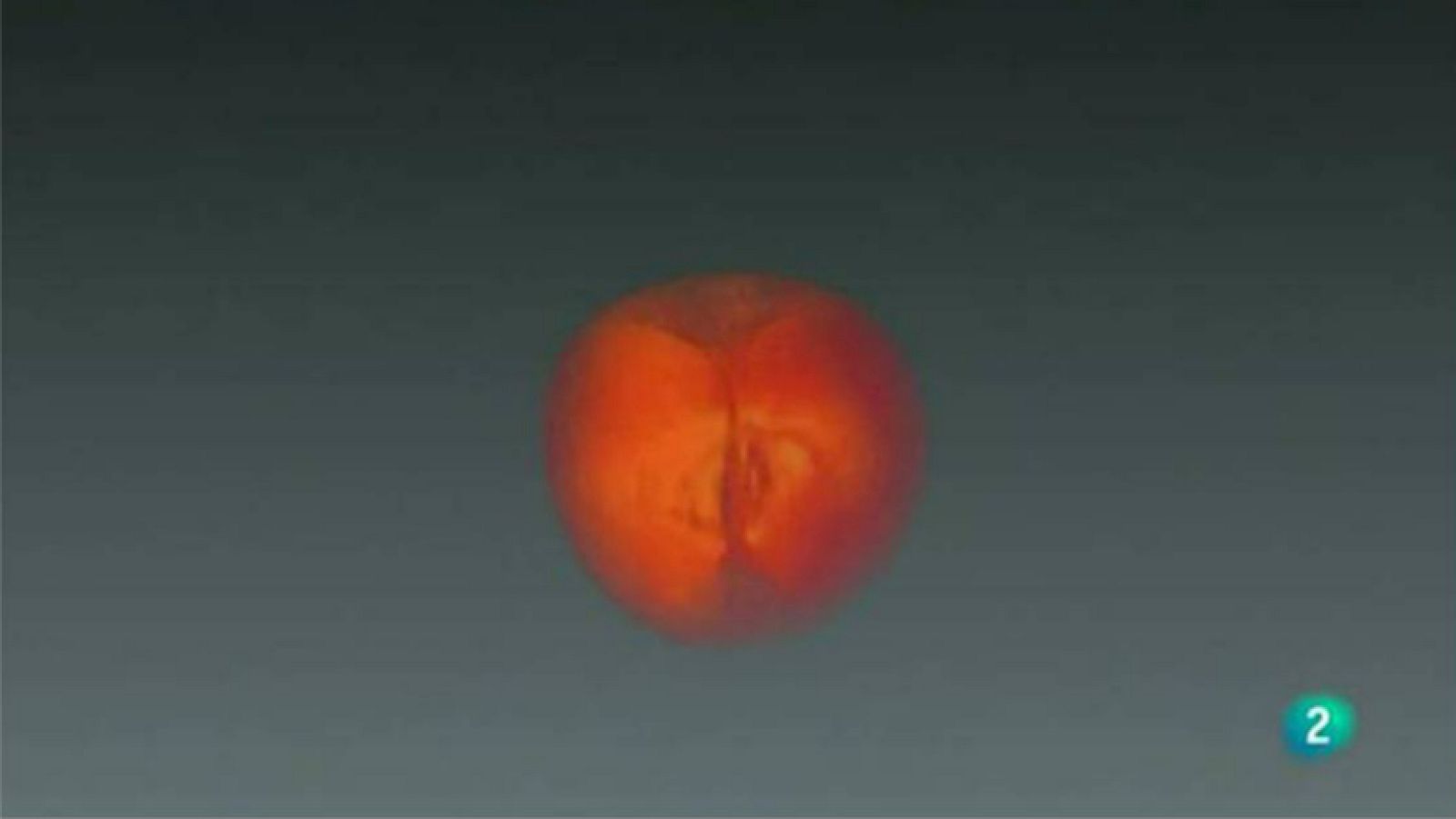 Agrosfera - Laboratorio de ideas - Alimentos 3D